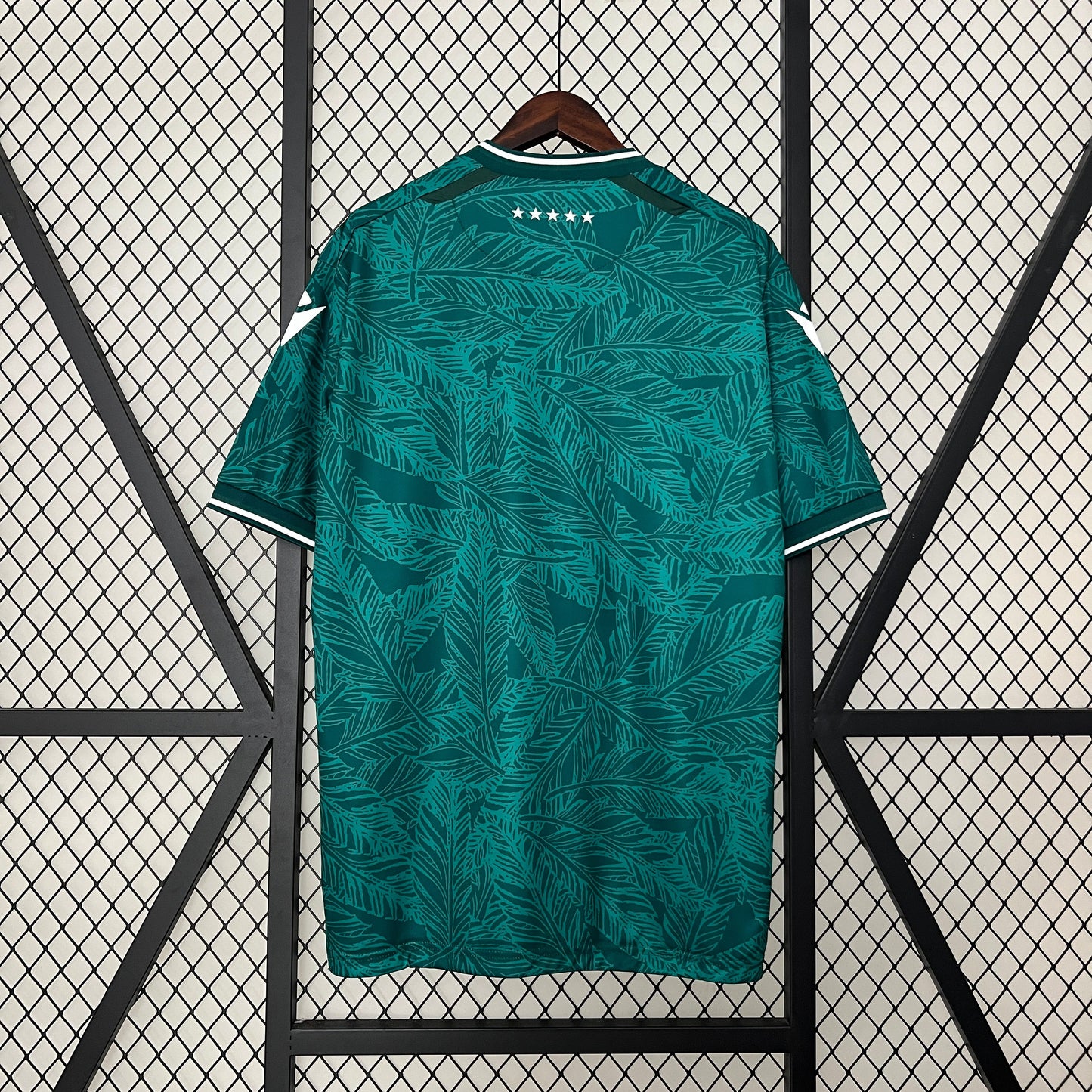 Camiseta Santiago Wanderers Local 2024/25 | Versión fan