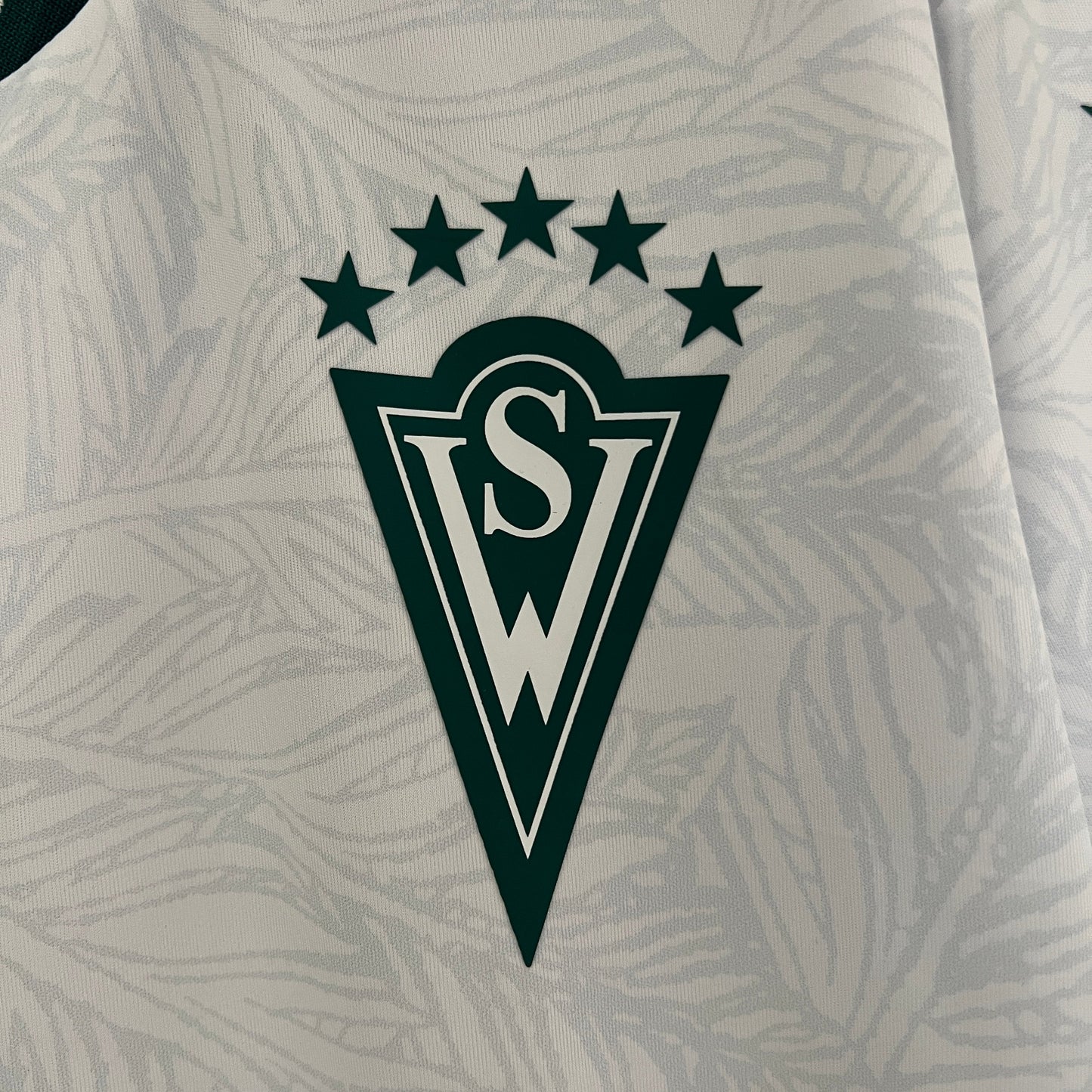 Camiseta Santiago Wanderers Visita 2024/25  | Versión fan