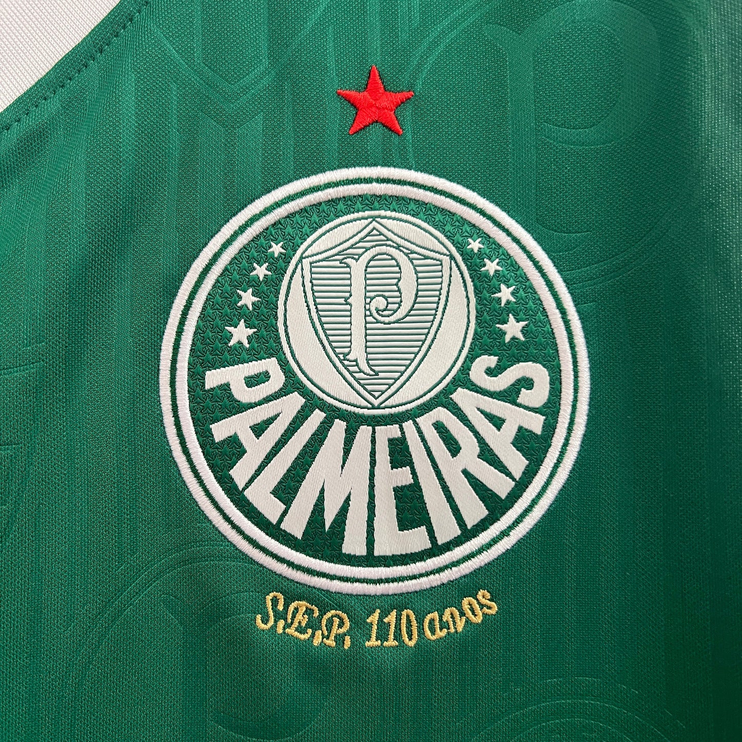 Camiseta Palmeiras Local 2024/25 | Versión fan Entrenamiento