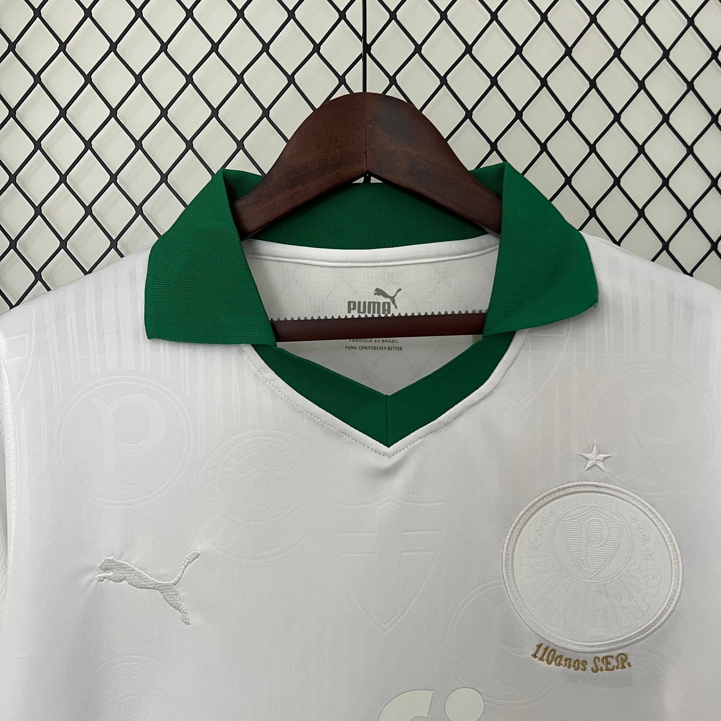 Camiseta Palmeiras Special Edition 2024/25 Local | Versión fan