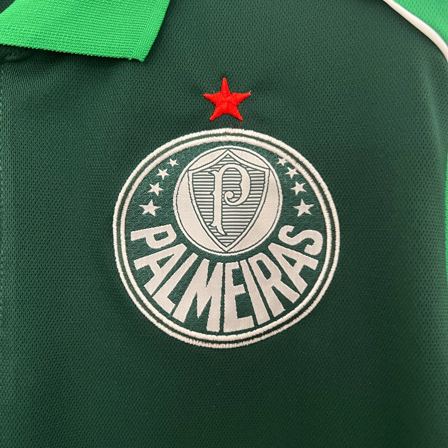 Camiseta Palmeiras green 2024/25  | Versión fan