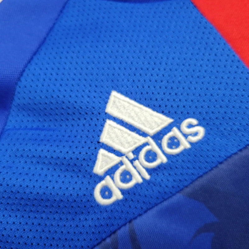 Camiseta Japón Local Retro 2010 Versión Fan