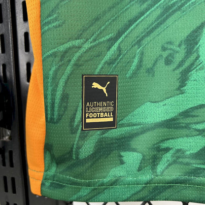 Camiseta Borussia Dortmund Portero Verde 2025/26 Versión Fan