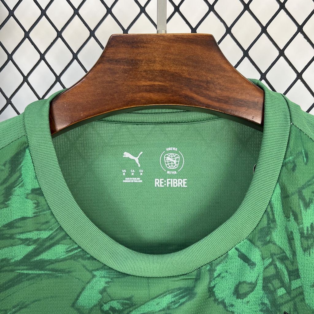 Camiseta Borussia Dortmund Portero Verde 2025/26 Versión Fan