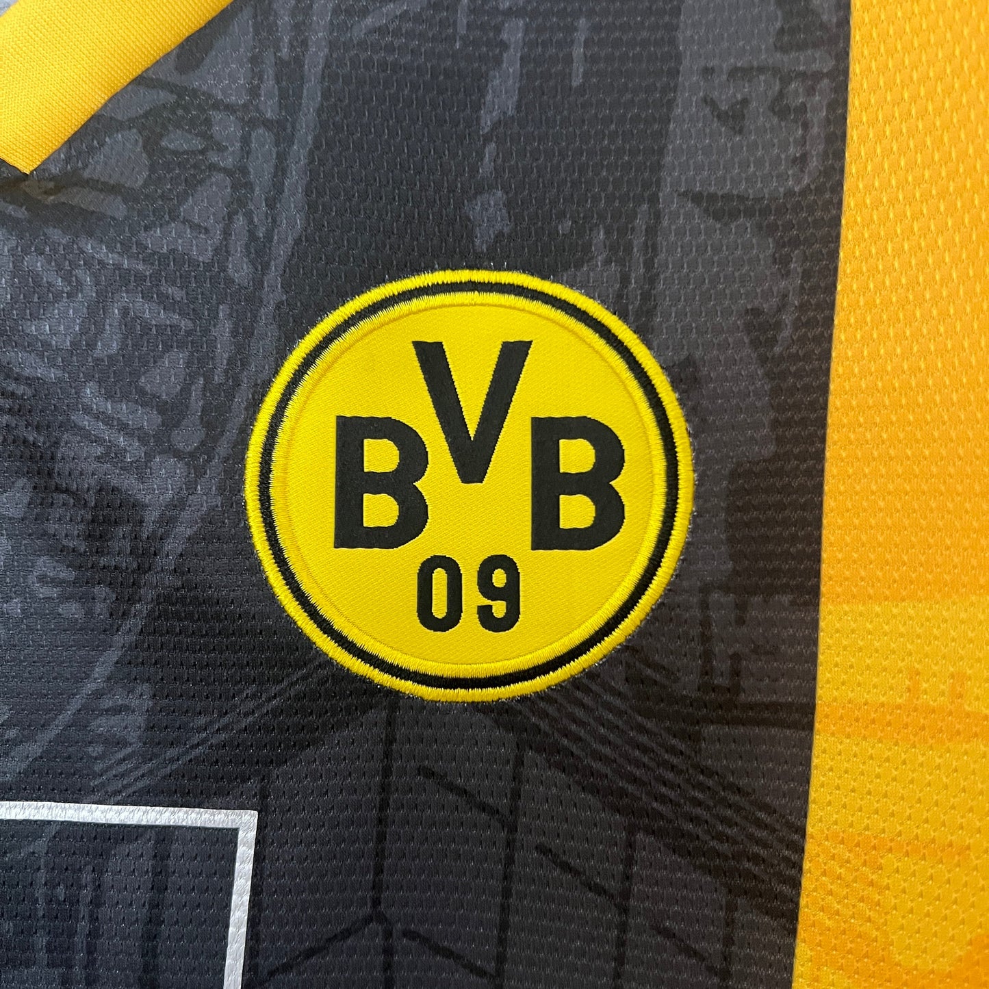 Camiseta Borussia Dortmund Especial Edition 2024/25  | Versión fan