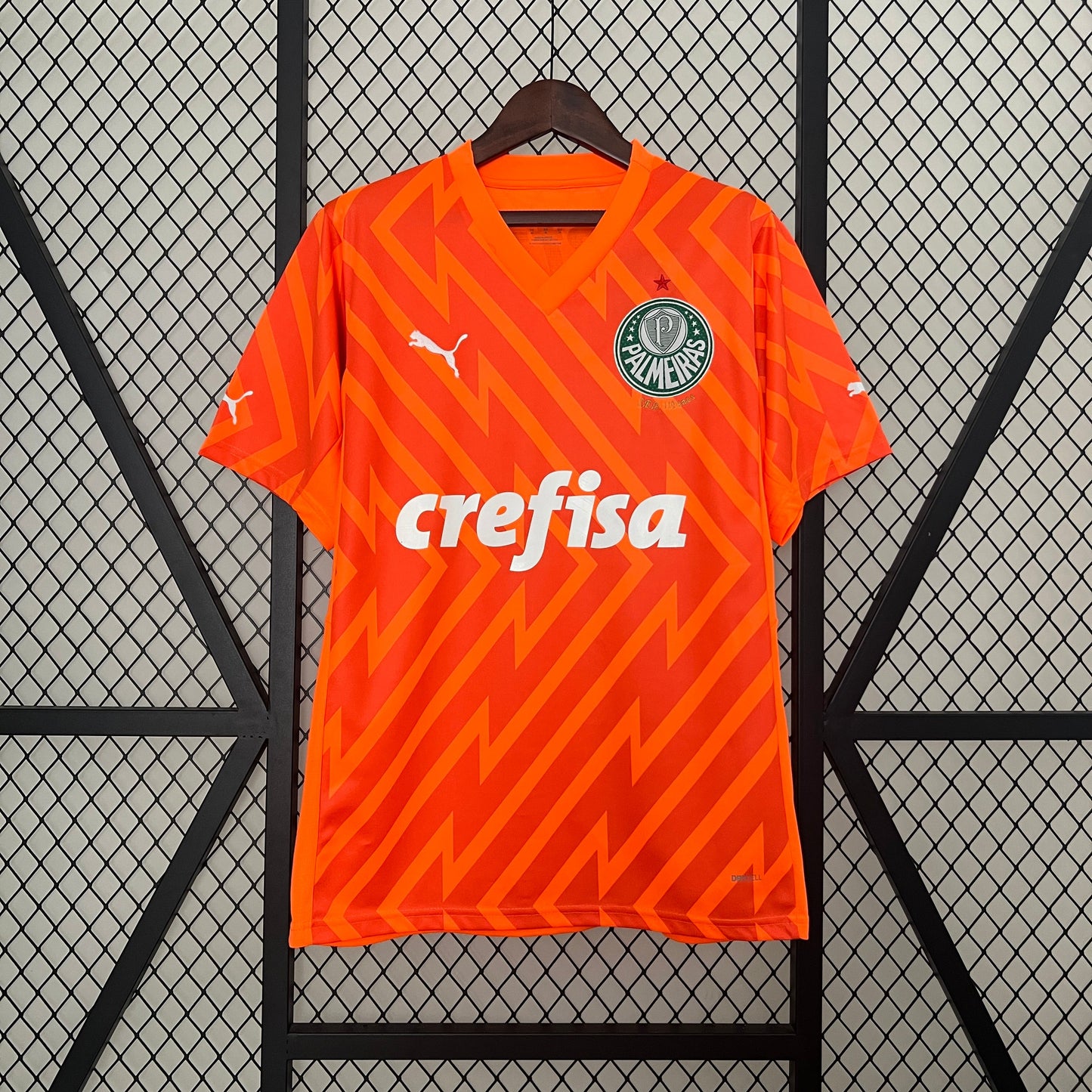 Camiseta Palmeiras 2024/25 | Versión fan Portero