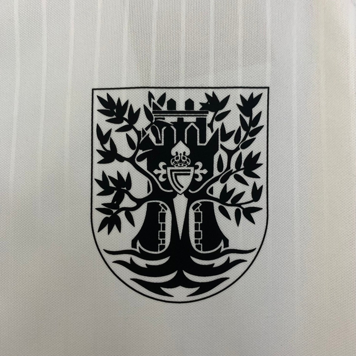 Camiseta Celta De Vigo 100th Aniversario Blanca 2025/26 Versión Fan