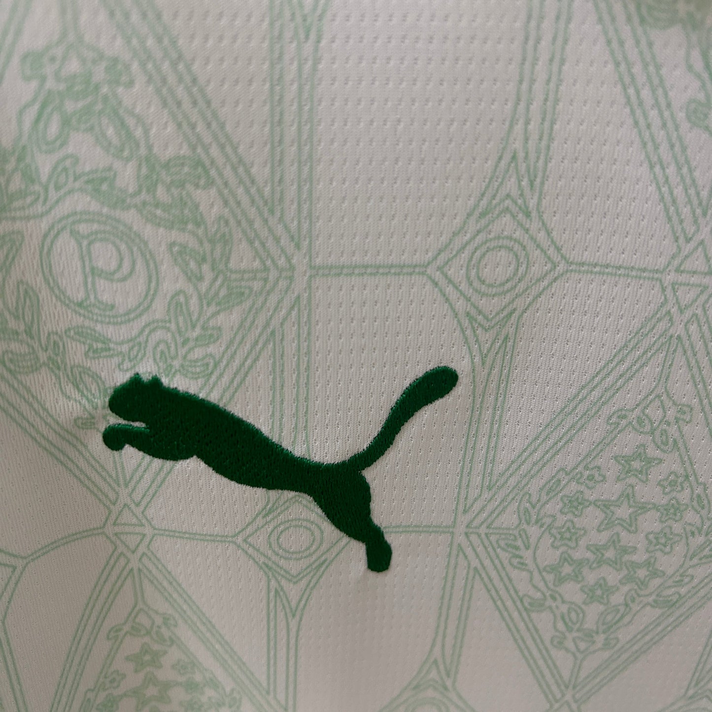 Palmeiras Visita 2025/26 Versión Fan